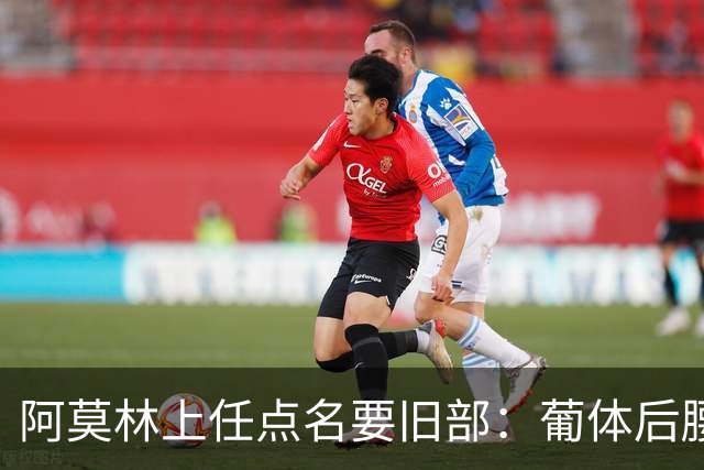 阿莫林上任点名要旧部：葡体后腰卖4500万，曼联放弃之人想转会